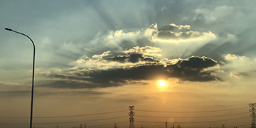 郧阳小麦技术优势